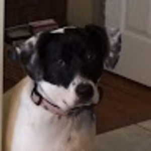 Meet your Posher, Keith